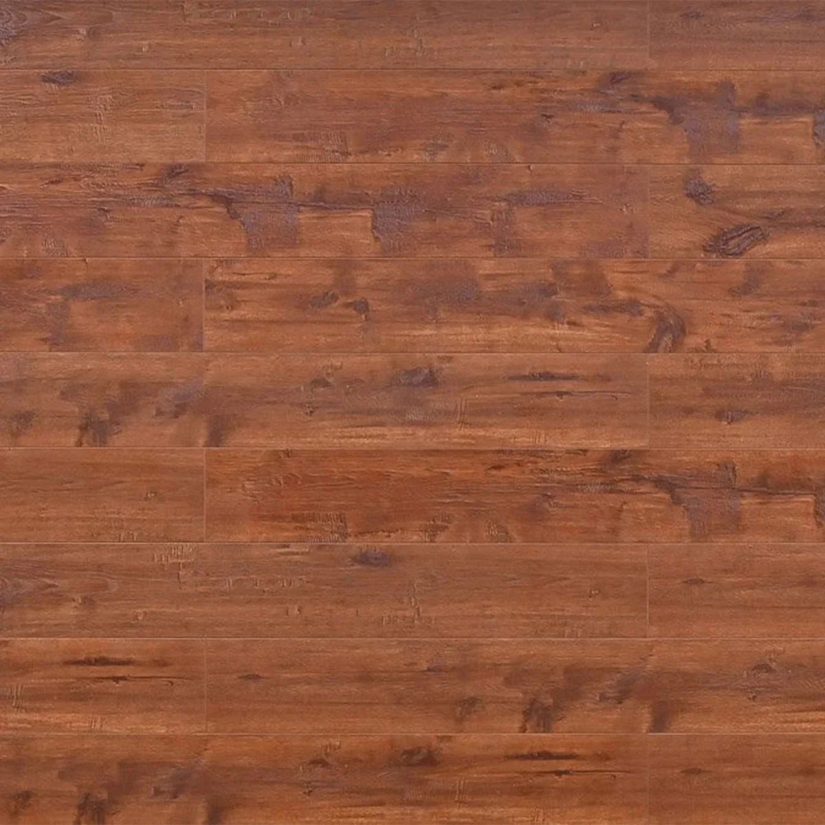 TF8005 | Terracotta