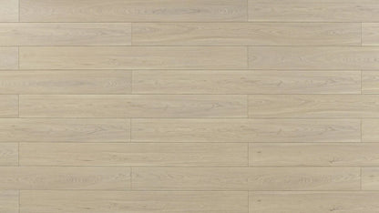 TF8012 | Canvas