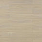 TF8012 | Canvas