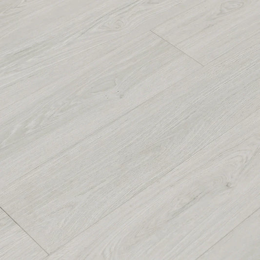 TF8101 | Clam