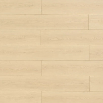 TF8108 | Linen