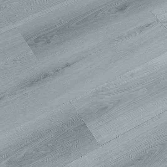 TFGD205