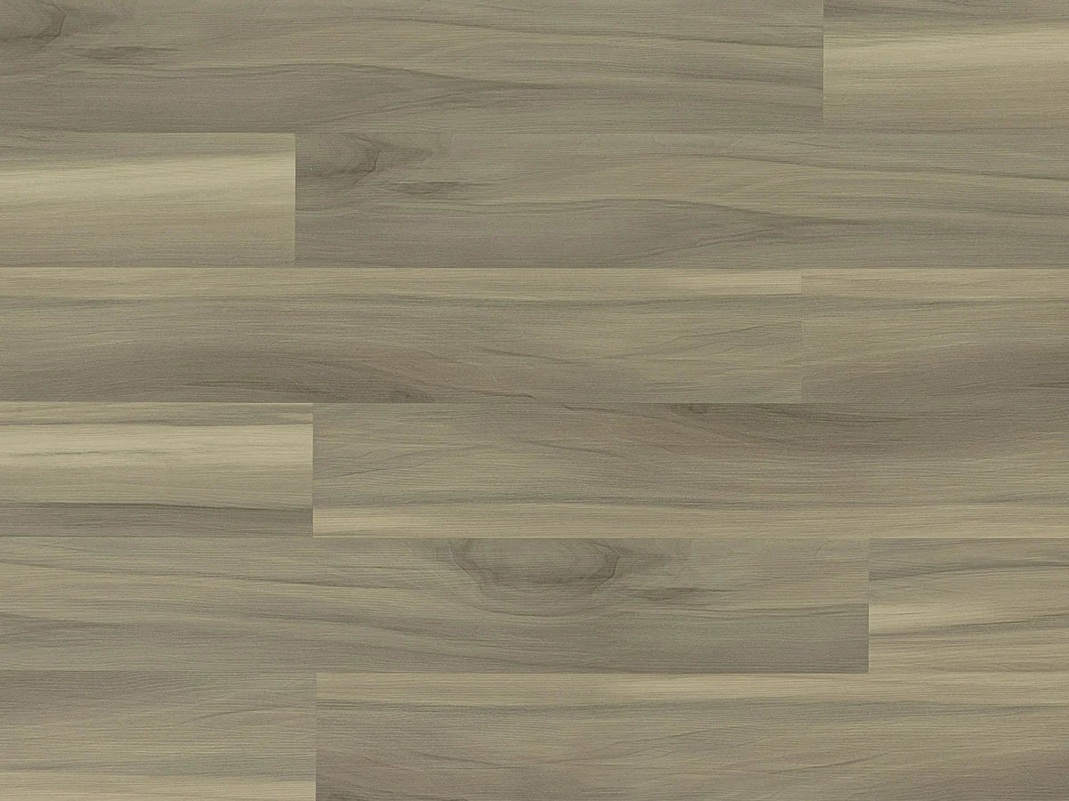 TFSPC211-F | London Fog