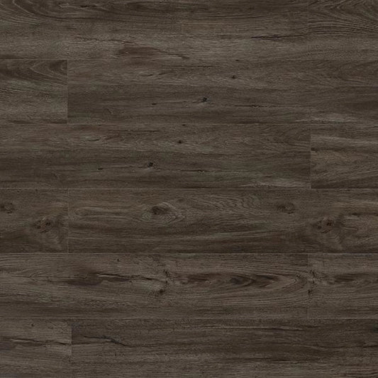 TFSPC301-F | Black Forest