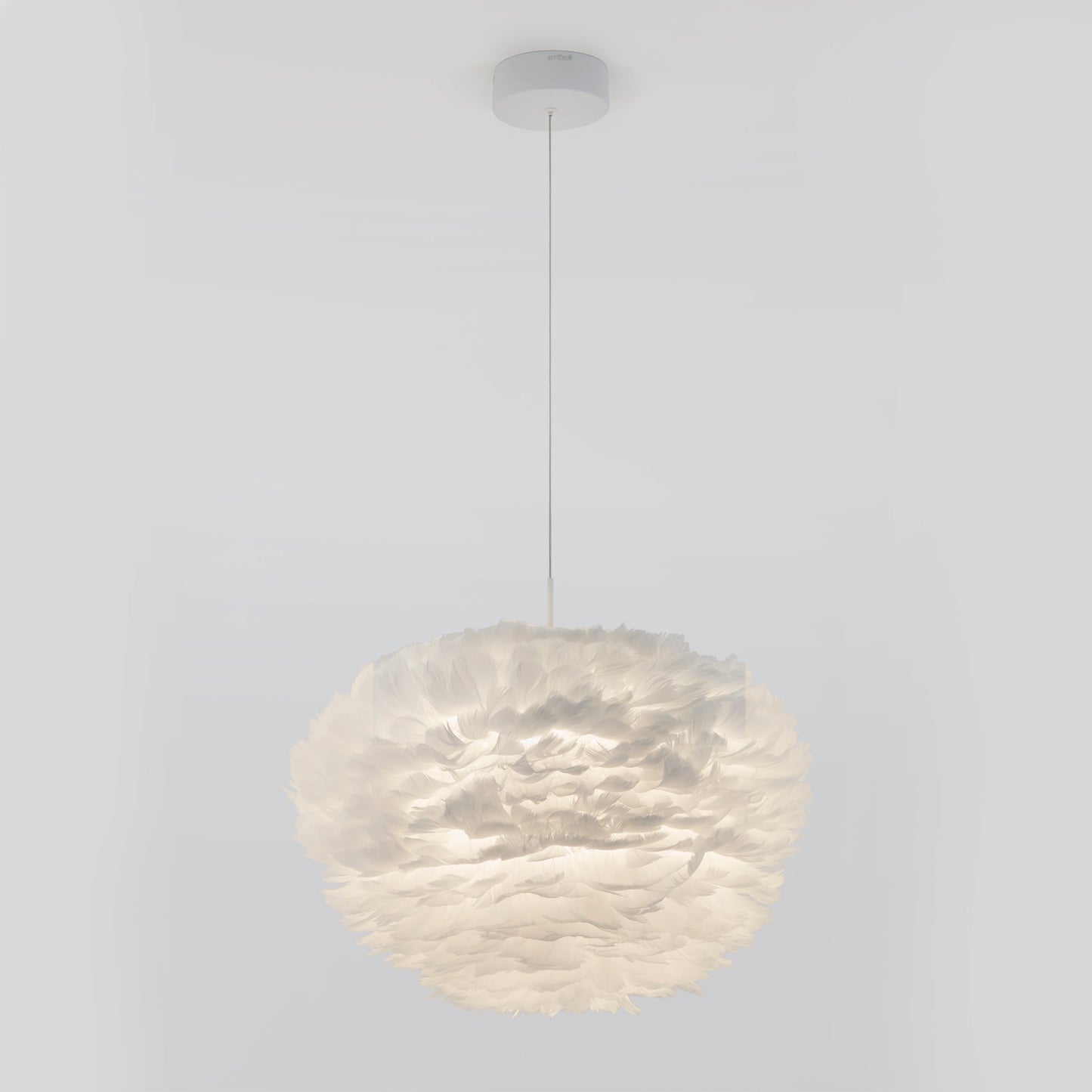 Plume LED pendant light