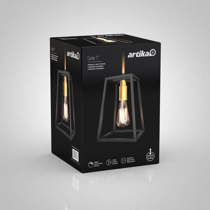 Carter 1-light pendant