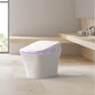 Toilet 2 Vovo TCB-9100WA